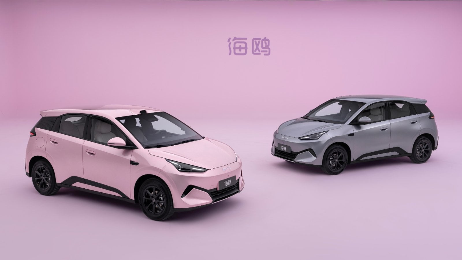 Berry pink and sesame gray second-generation BYD Seagull hatchbacks in studio front three-quarter view, official BYD image