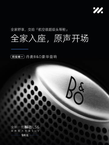 Close-up of the Bang & Olufsen speaker grille IM Motors says is exclusive to the new LS6 in its segment.
